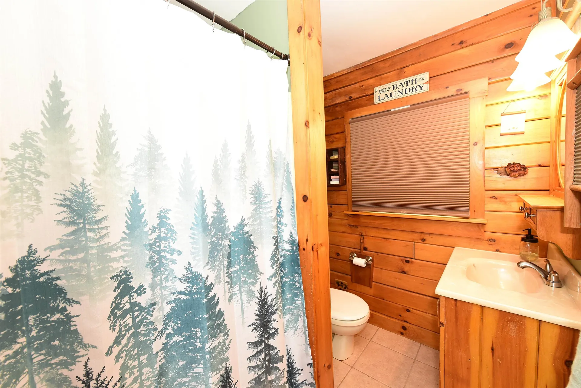 3 Middle Shore Drive Madison NH 03849