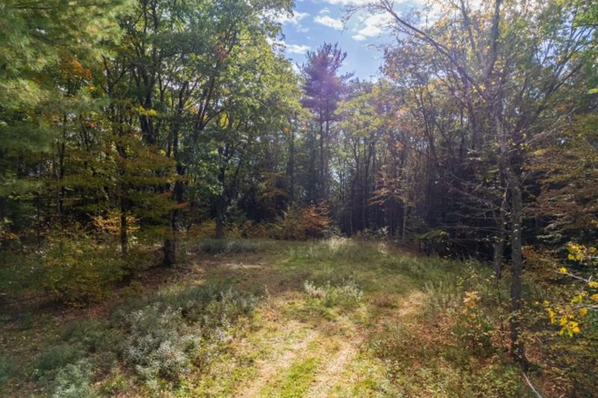 67 Burgess Way Brattleboro VT 05301