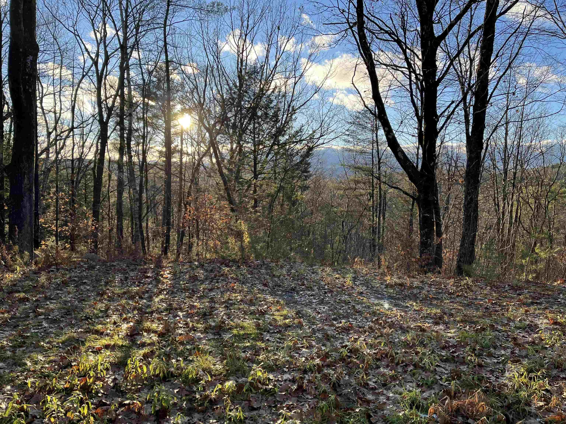 67 Burgess Way Brattleboro VT 05301