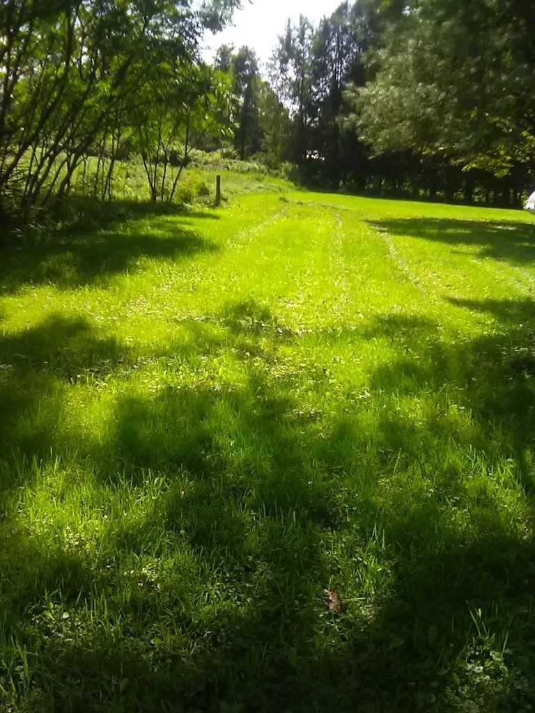 1217 Stagecoach Road Morristown VT 05661