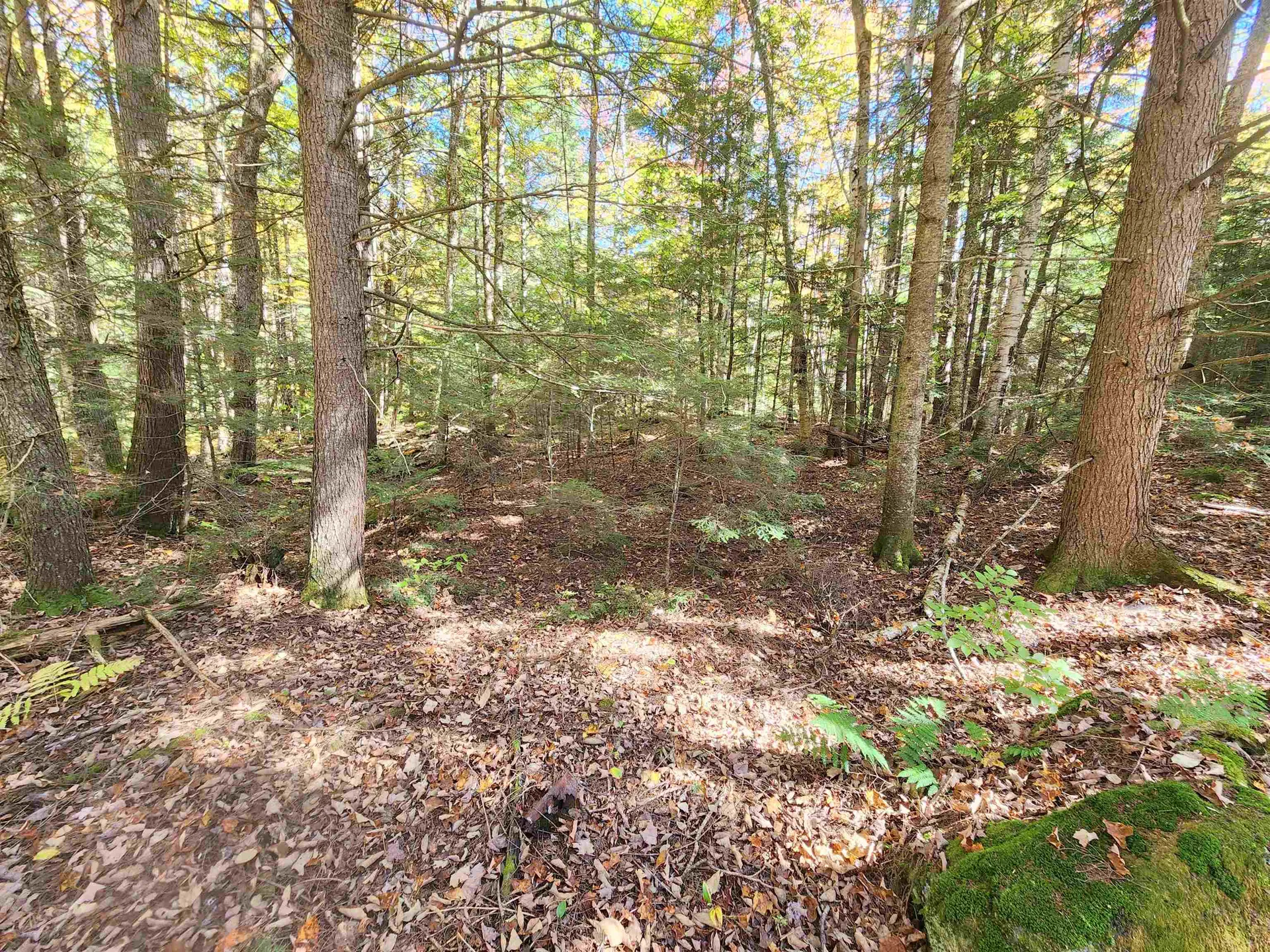 Piermont Heights Road Orford NH 03777