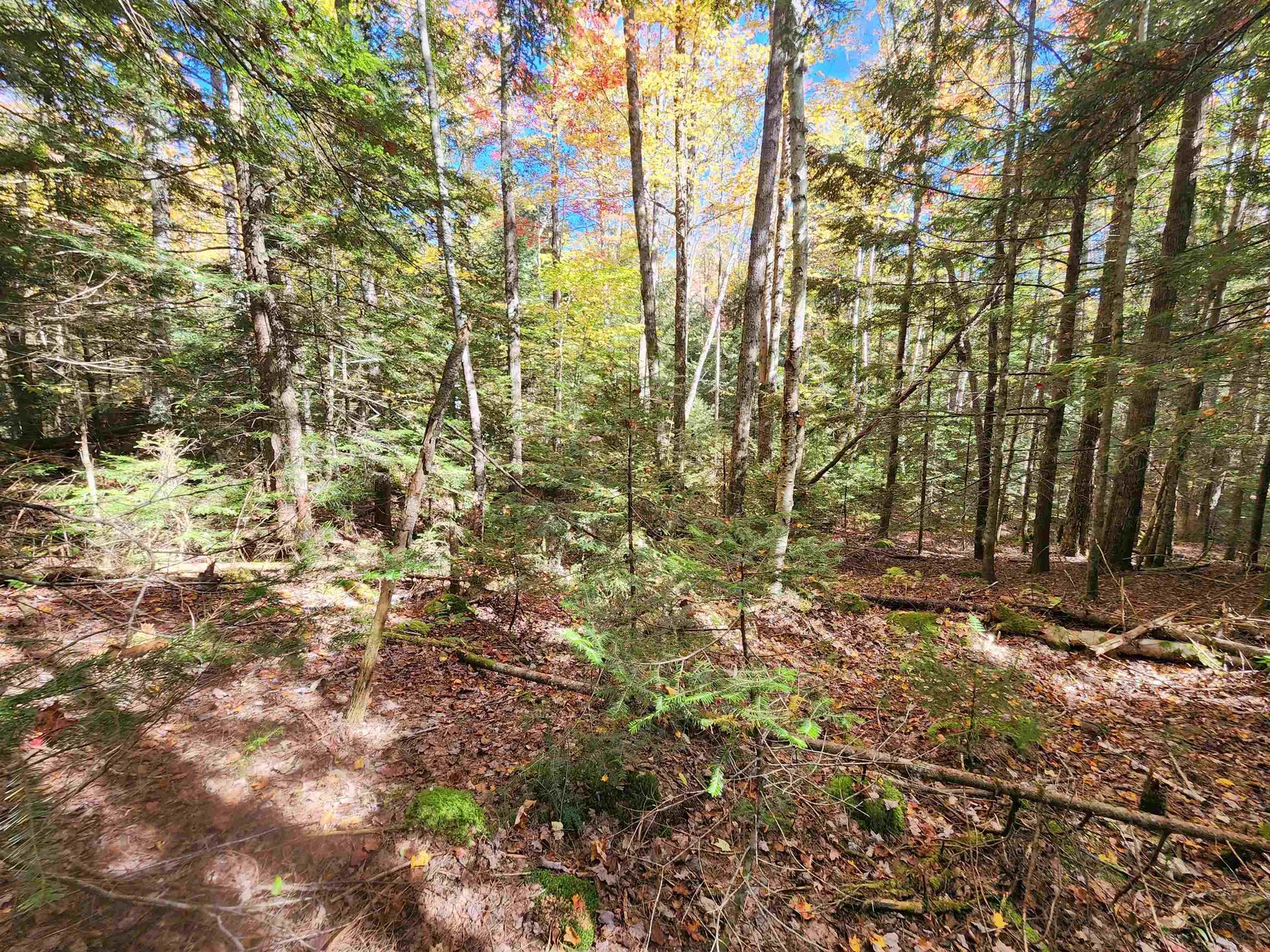 Piermont Heights Road Orford NH 03777