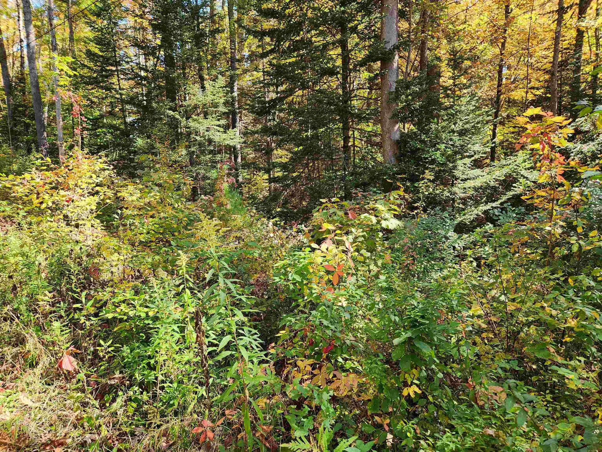 Town Road Orford NH 03777