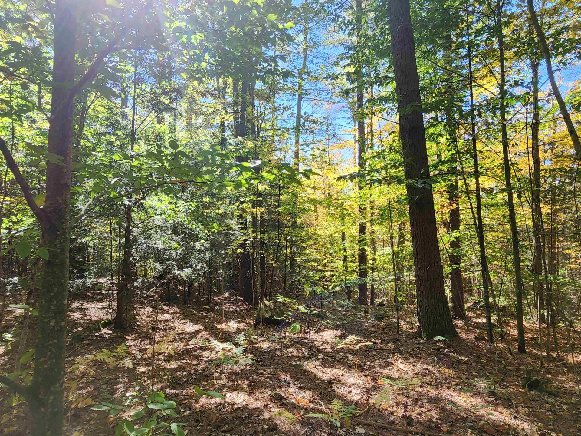 Town Road Orford NH 03777