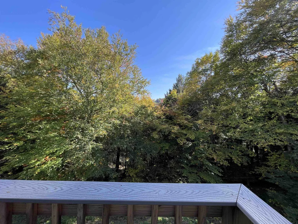 42 Lower Phase Road Warren VT 05674