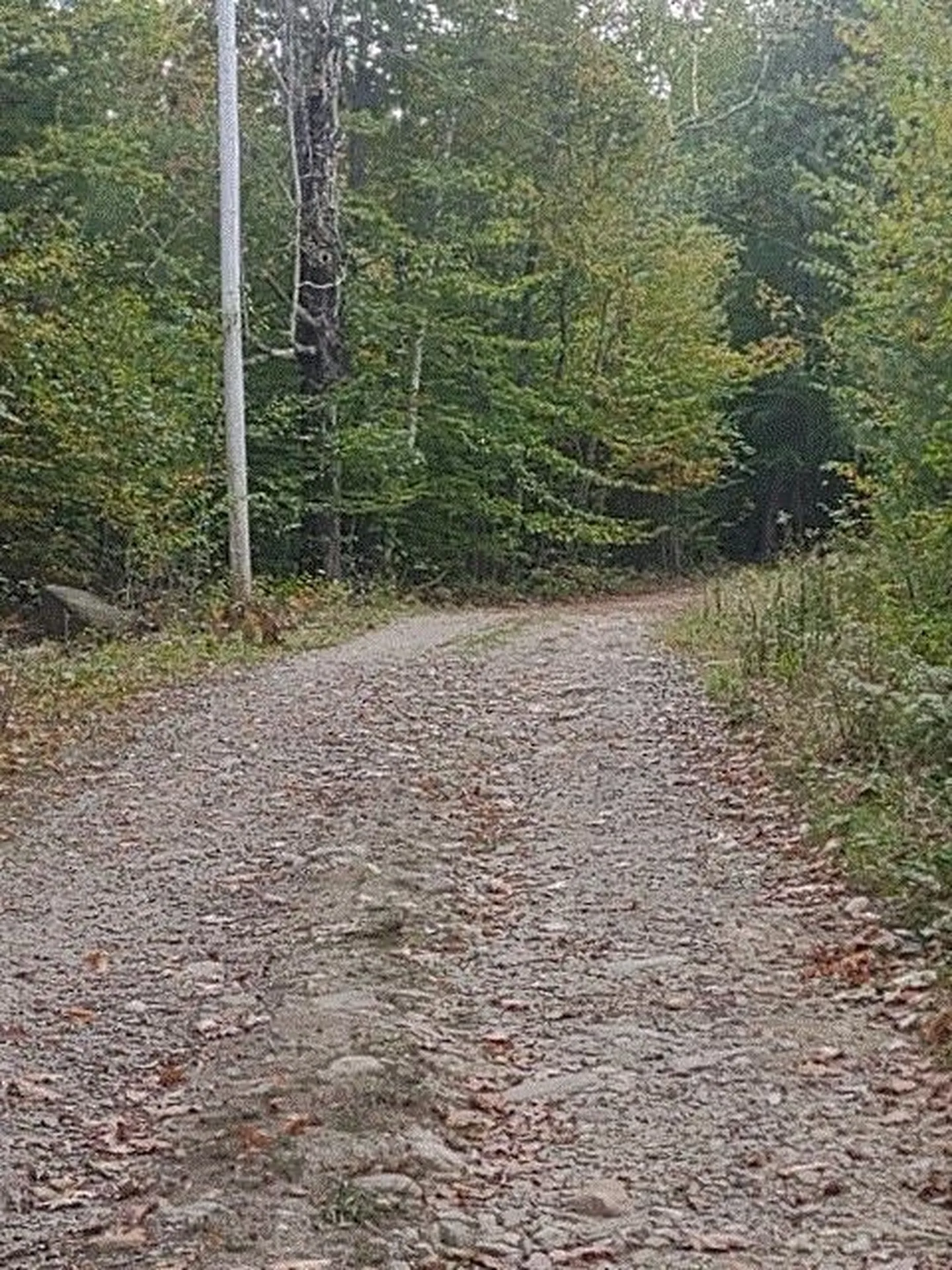 90.5 Places Crossing Lane Farmington NH 03835