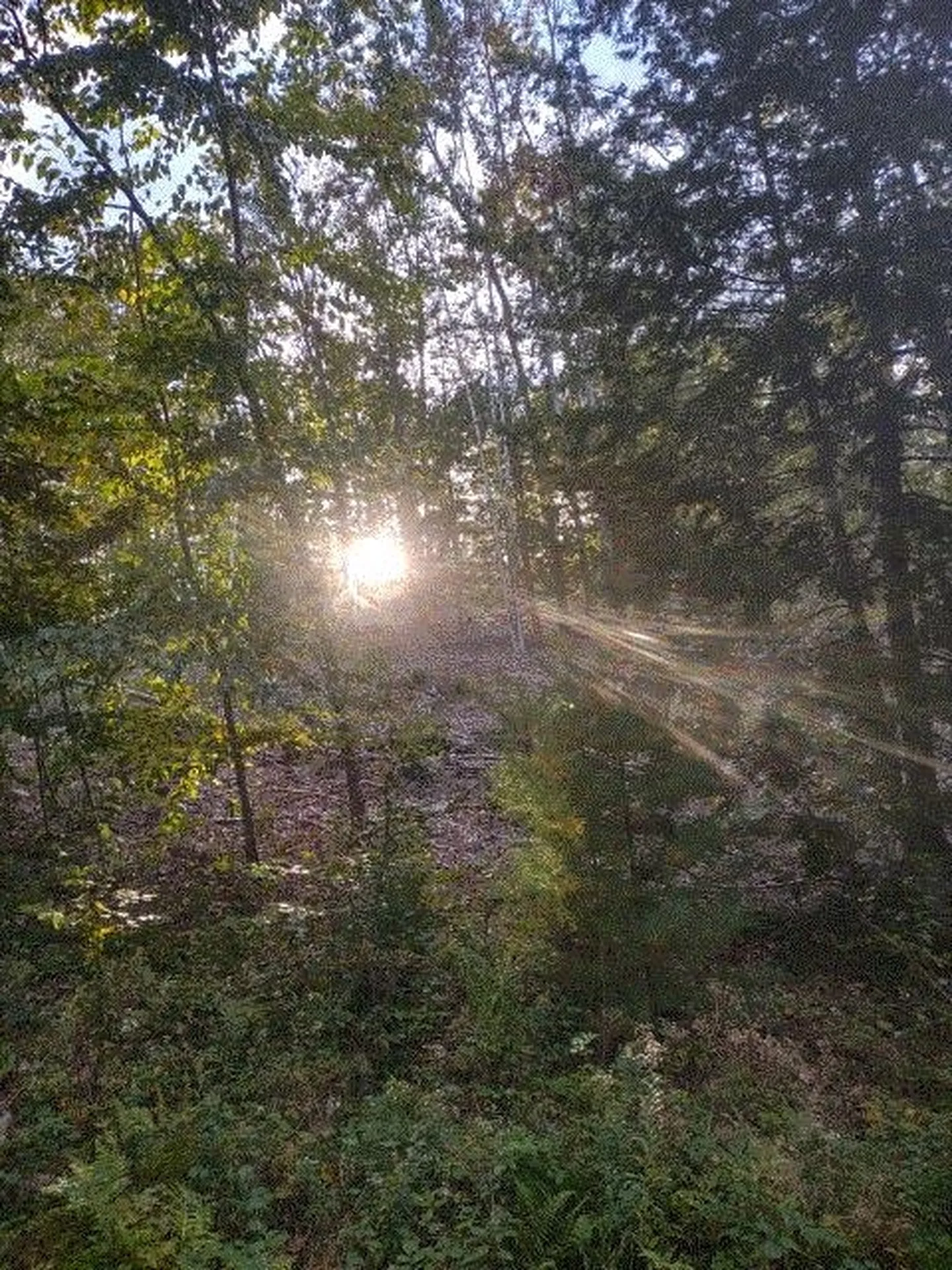 90.5 Places Crossing Lane Farmington NH 03835