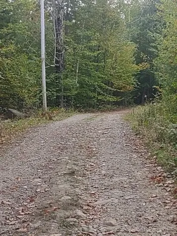 90.5 Places Crossing Lane Farmington NH 03835