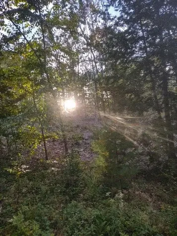 90.5 Places Crossing Lane Farmington NH 03835