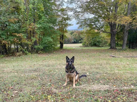 195 Granite Road Ossipee NH 03864