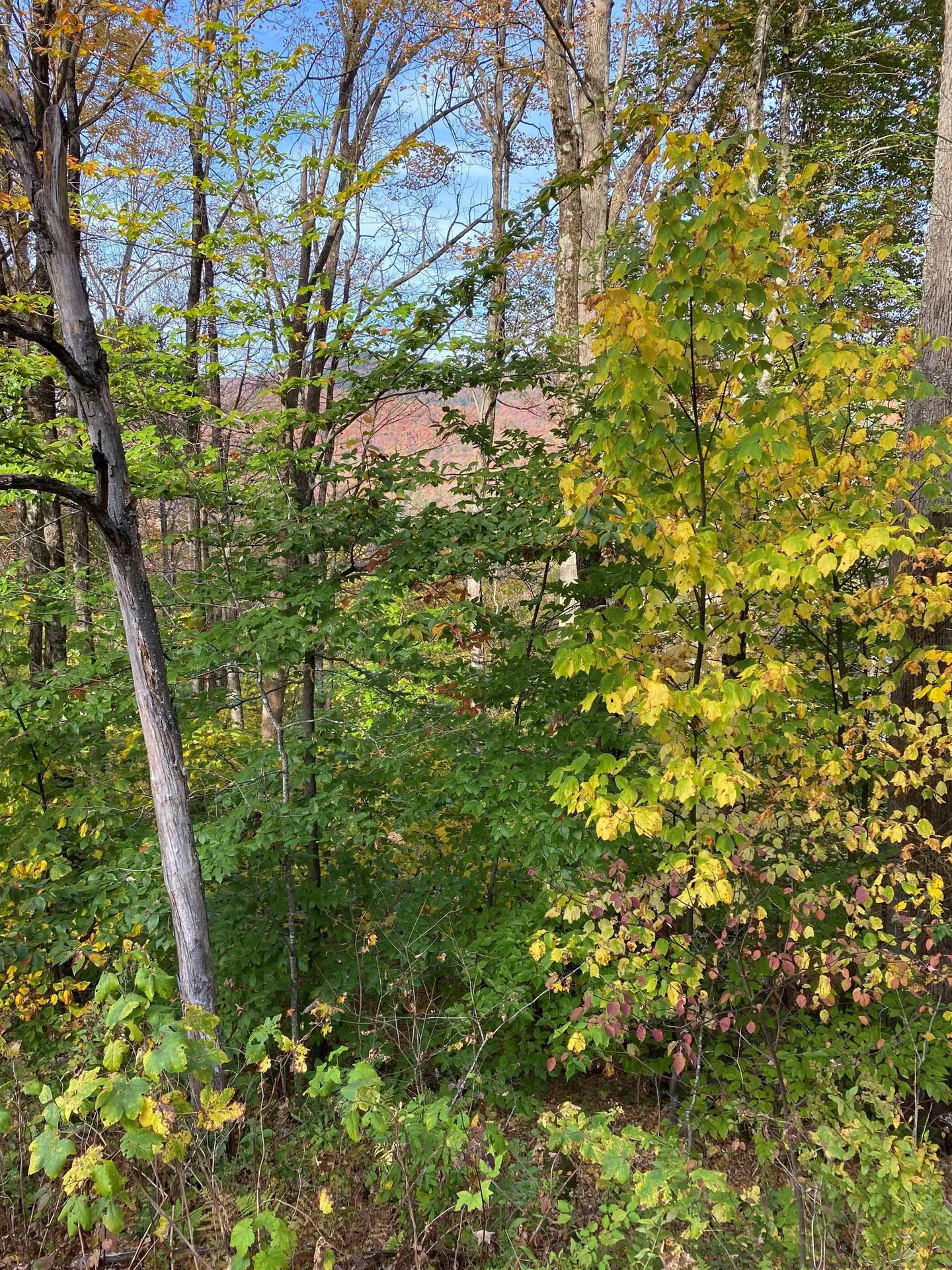 Lot 13 Barrows Towne Road Killington VT 05751