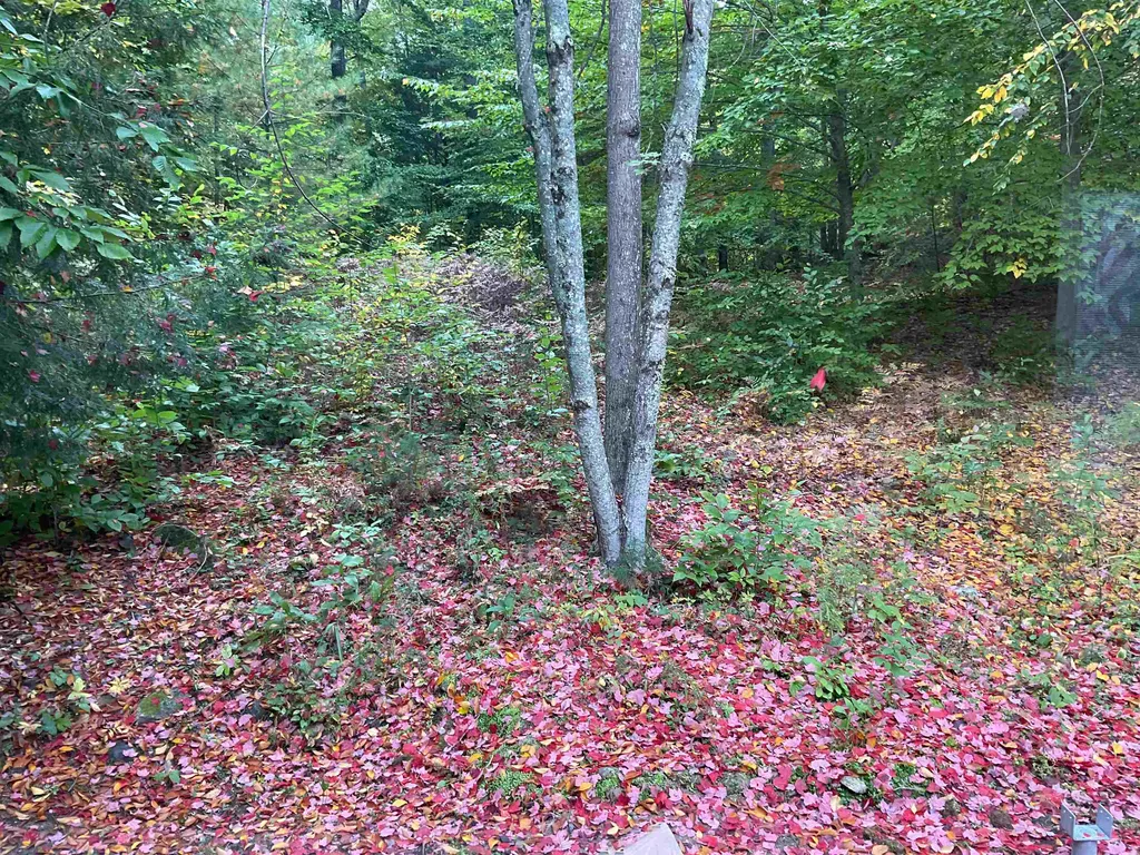 2 Kenyann Drive Wolfeboro NH 03894