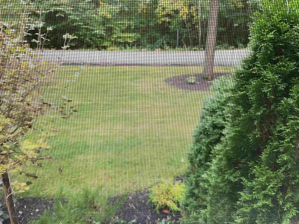 2 Kenyann Drive Wolfeboro NH 03894