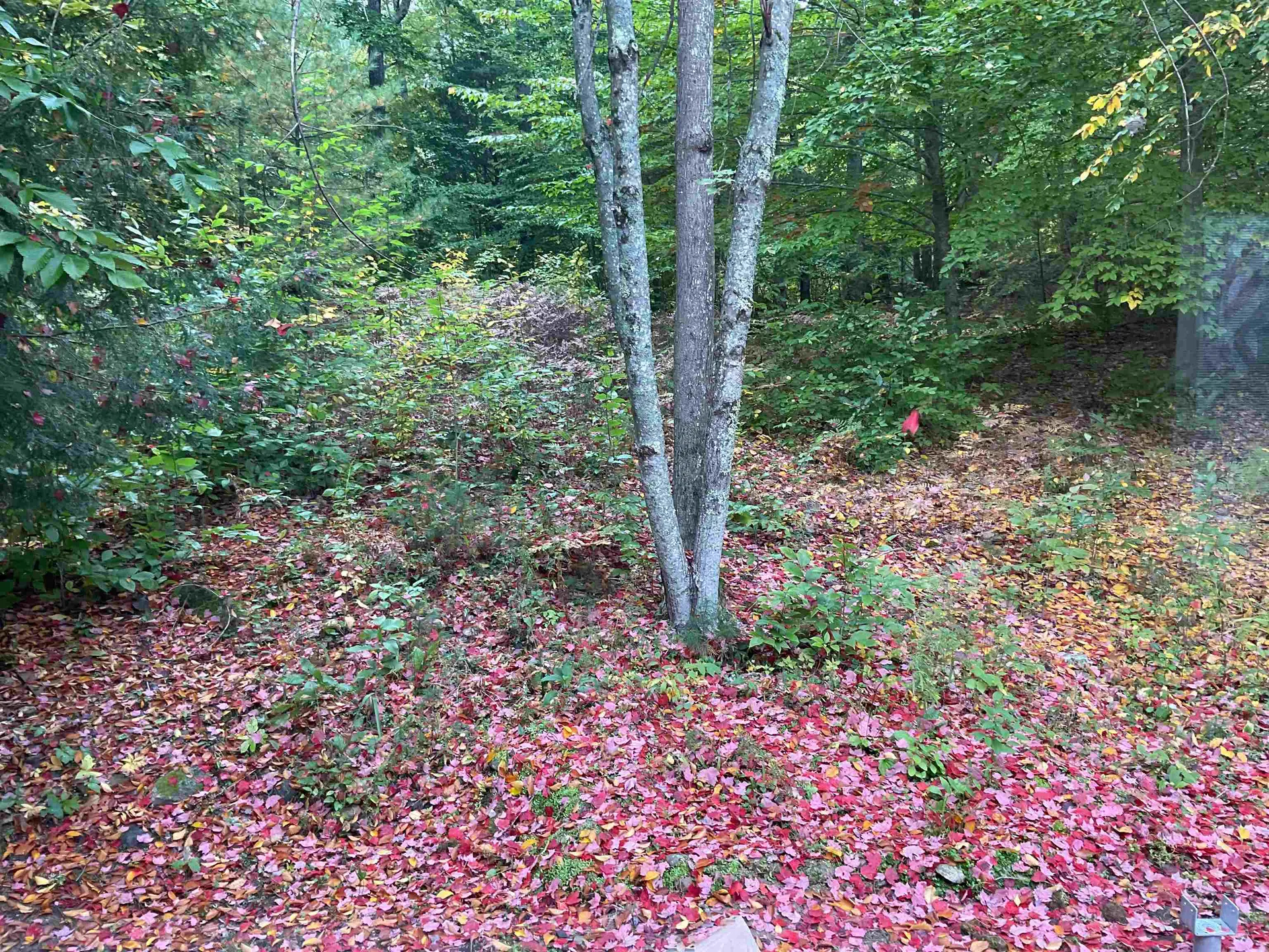 2 Kenyann Drive Wolfeboro NH 03894