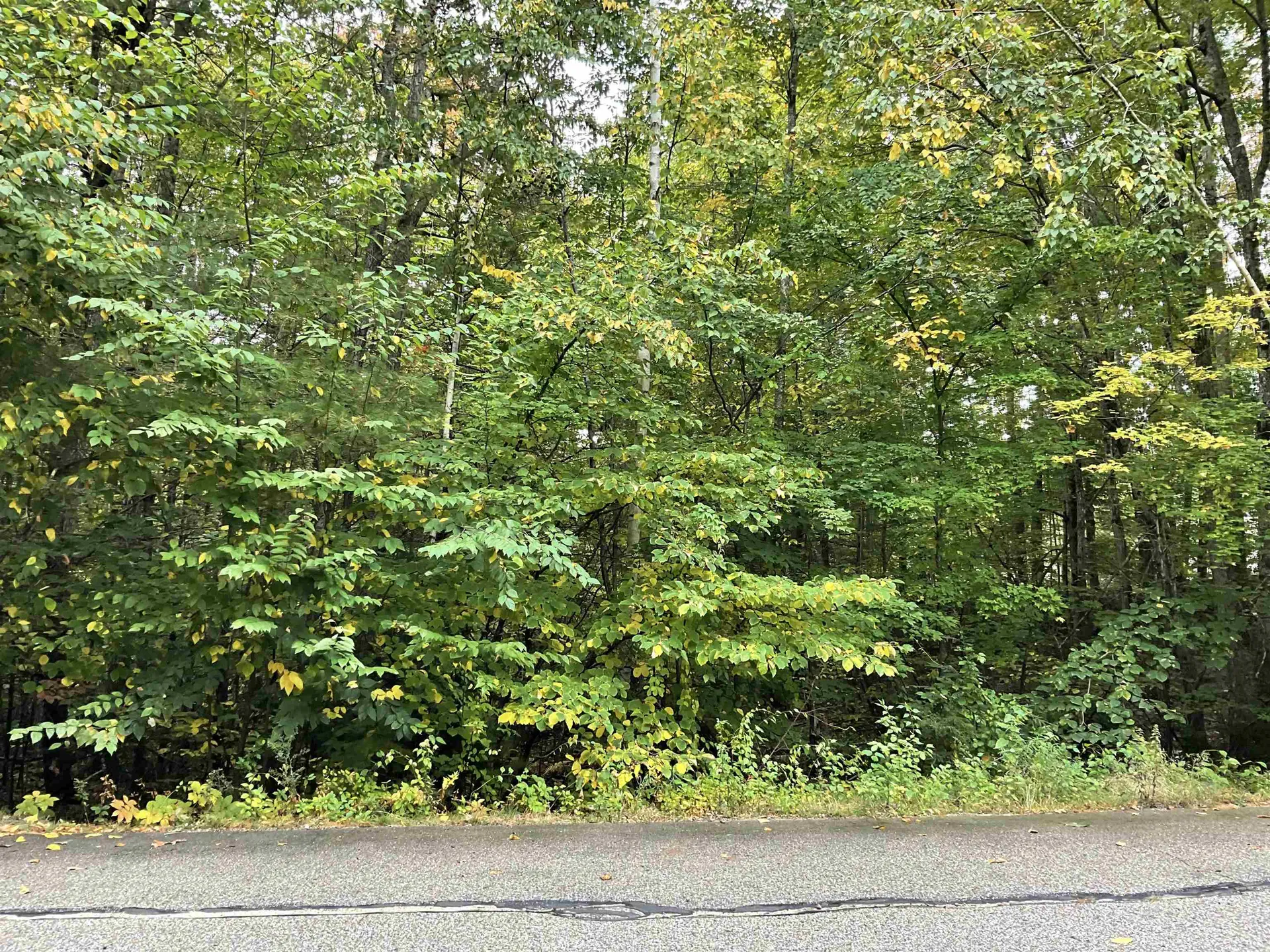 2 Kenyann Drive Wolfeboro NH 03894
