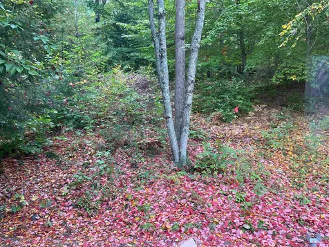 2 Kenyann Drive Wolfeboro NH 03894