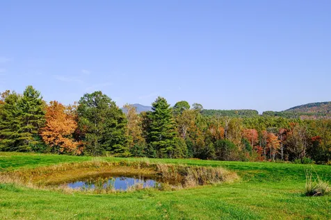 1521 East Road Cavendish VT 05142