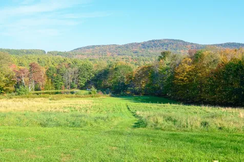 1521 East Road Cavendish VT 05142