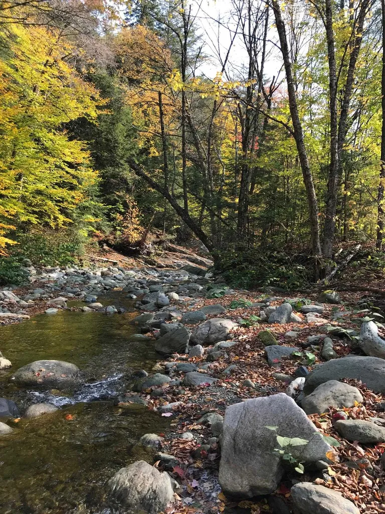 644 Byam Road Bethel VT 05032