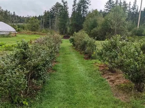 812 Route 302 West Carroll NH 03595