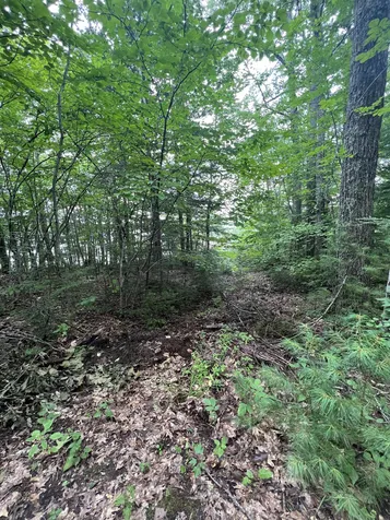 48 Island View Road Wolfeboro NH 03894