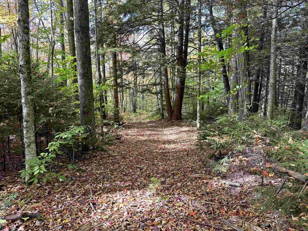 1093 Cider Hill Road Warren VT 05674