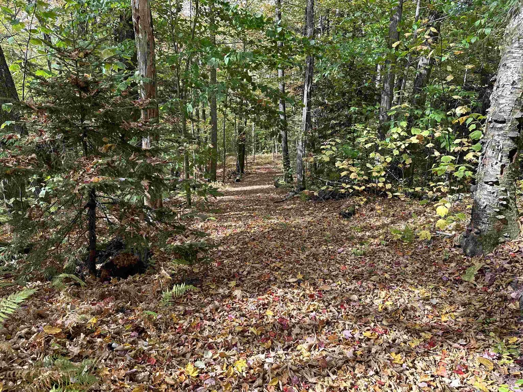 1093 Cider Hill Road Warren VT 05674