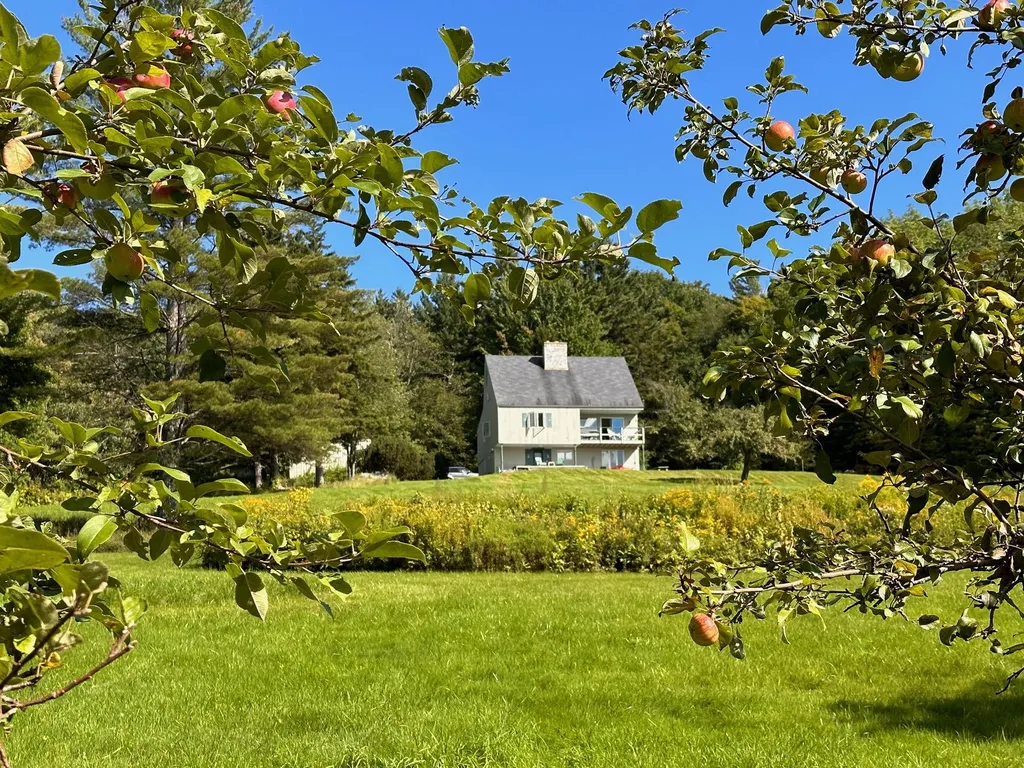1093 Cider Hill Road Warren VT 05674