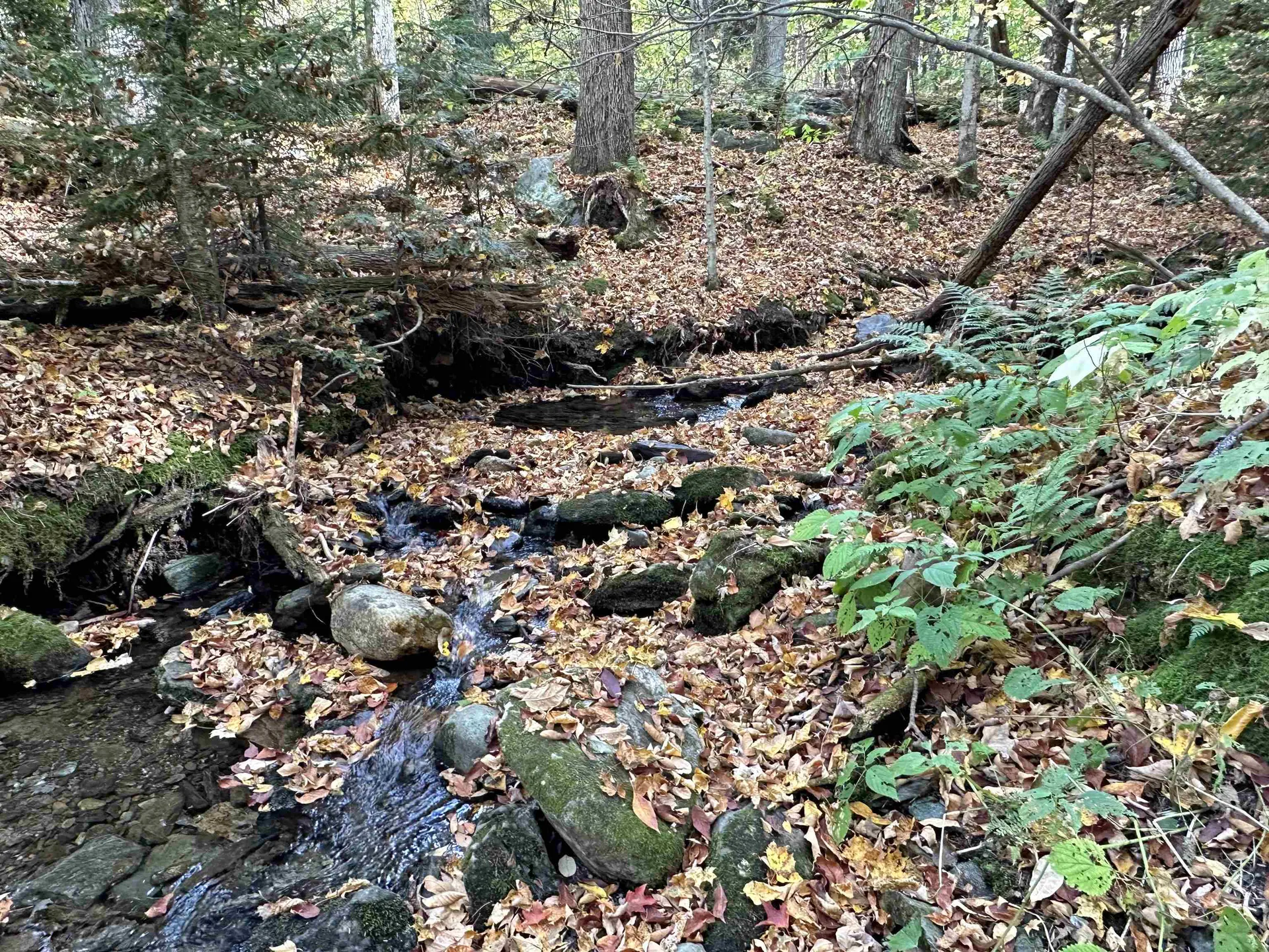 1093 Cider Hill Road Warren VT 05674