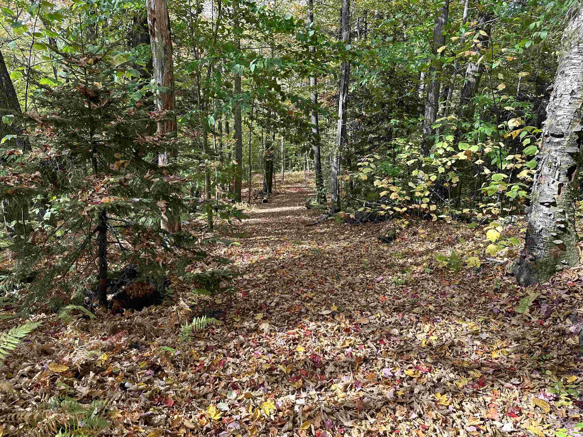 1093 Cider Hill Road Warren VT 05674