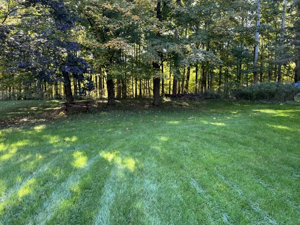 58 Ossie Road Middlebury VT 05753