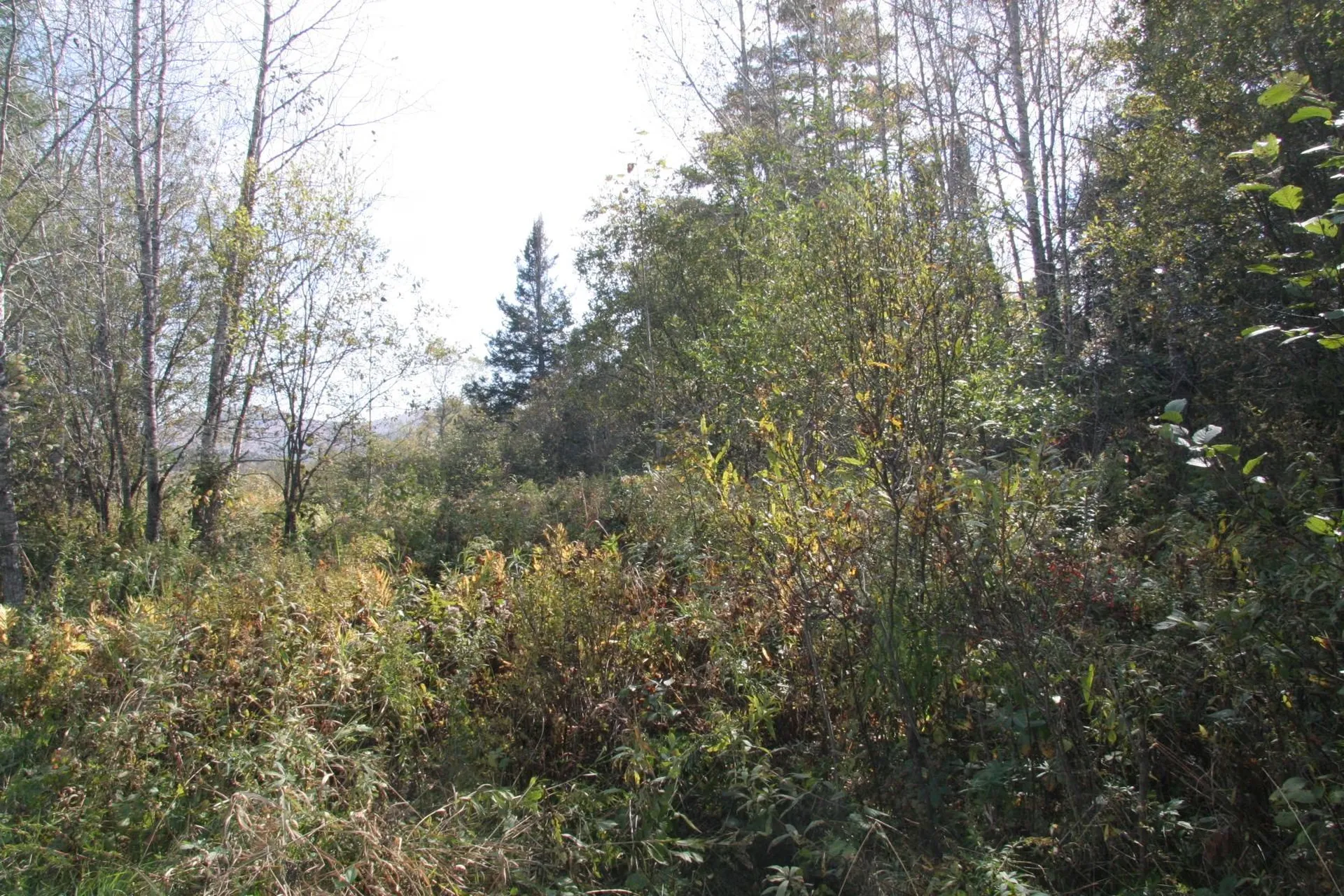 On Old Concord Road Concord VT 05828