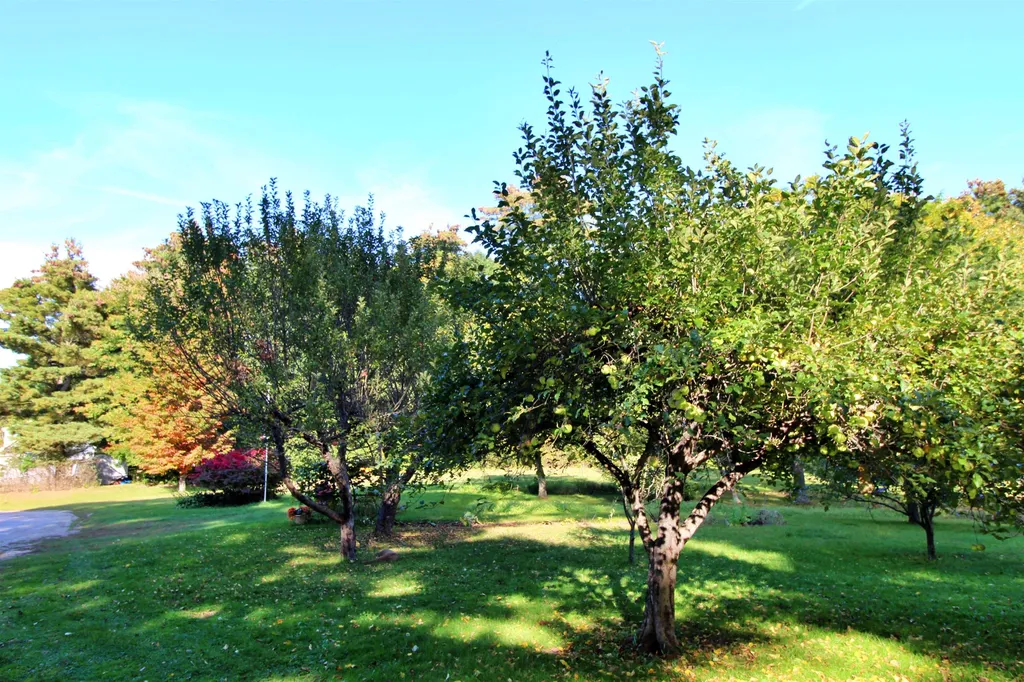 680 Route 7 South Milton VT 05468