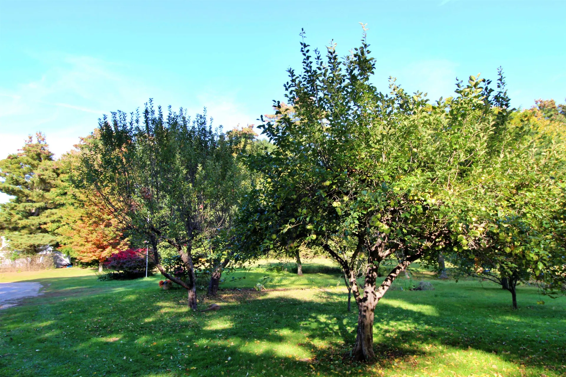 680 Route 7 South Milton VT 05468