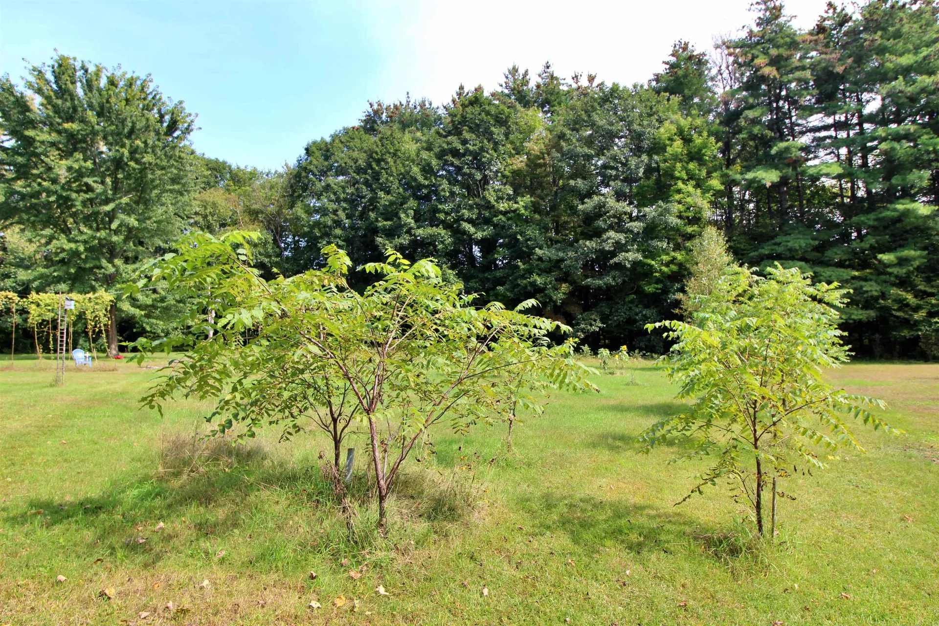 680 Route 7 South Milton VT 05468