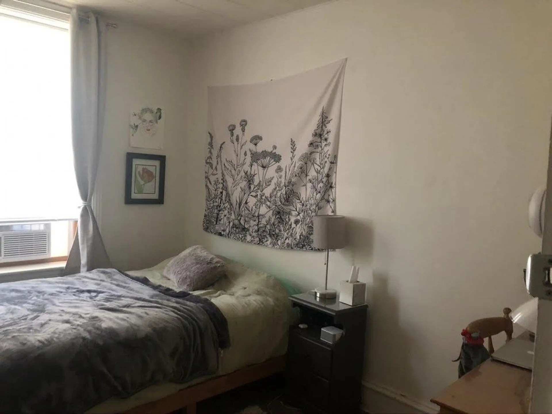 5-7 Hickok Place Burlington VT 05401
