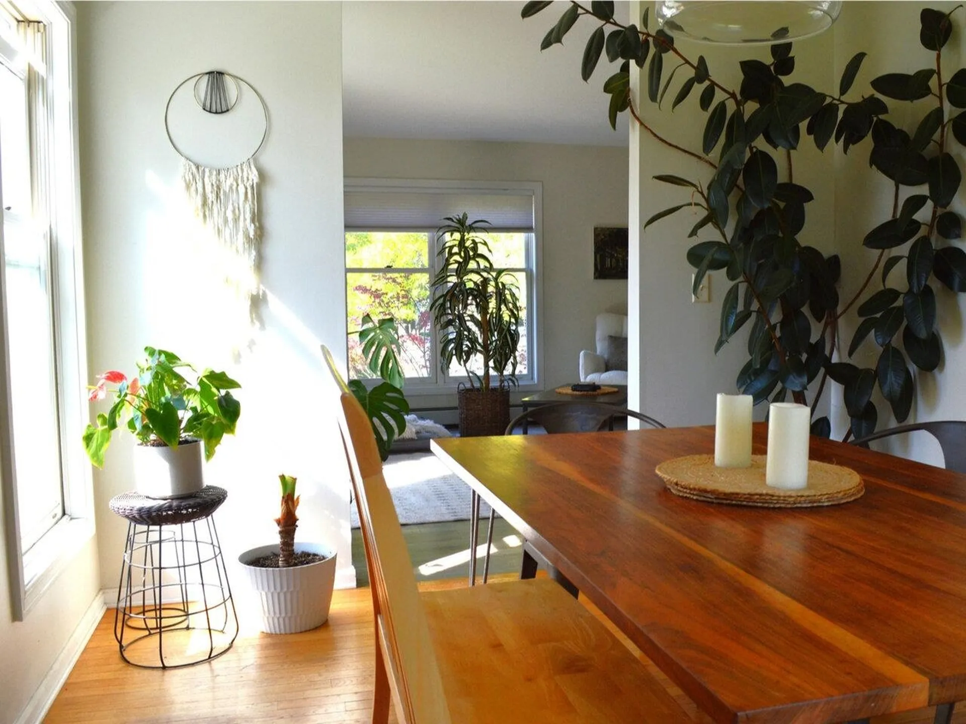 10 Pinegrove Terrace Winooski VT 05404