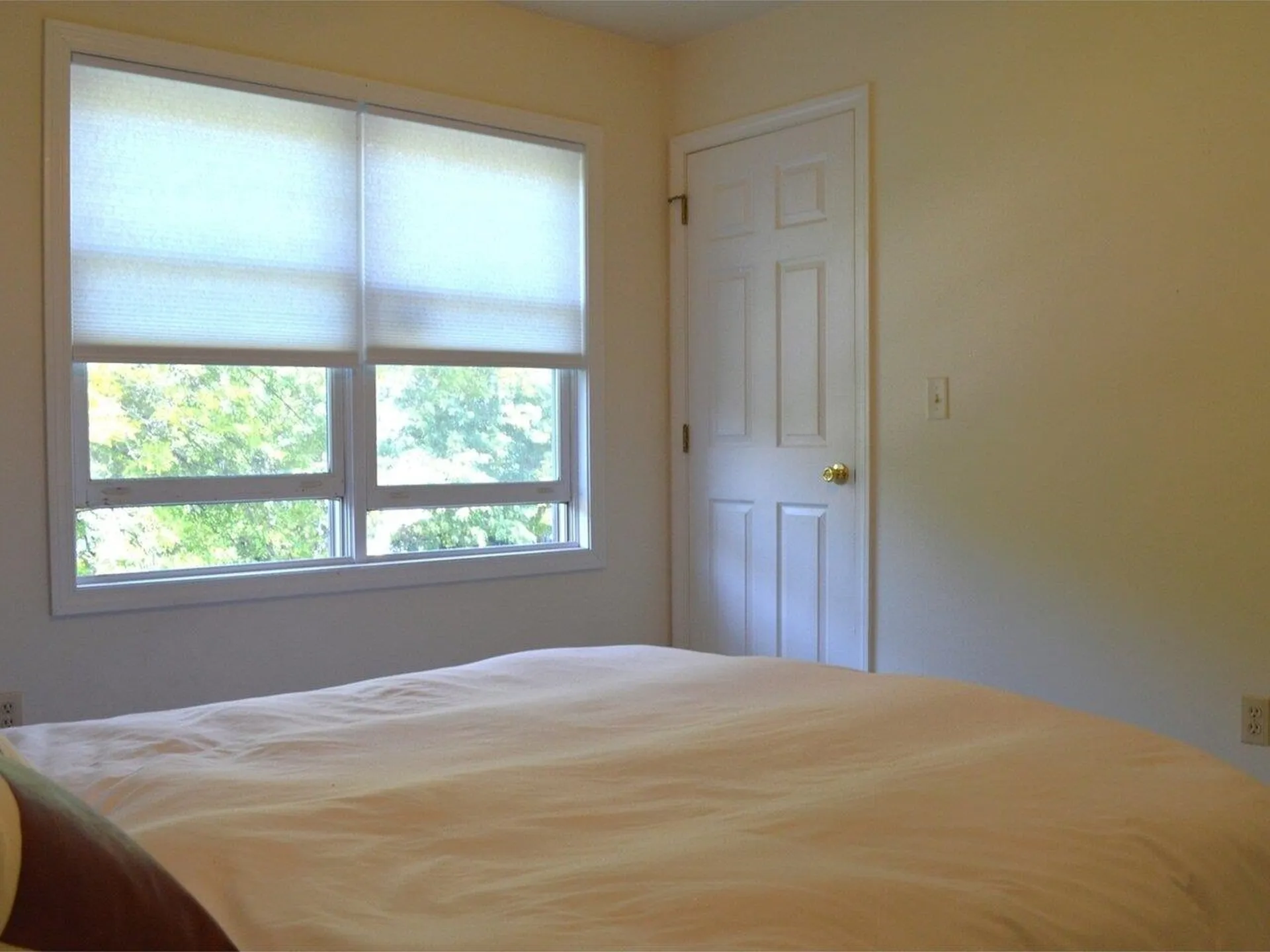 10 Pinegrove Terrace Winooski VT 05404
