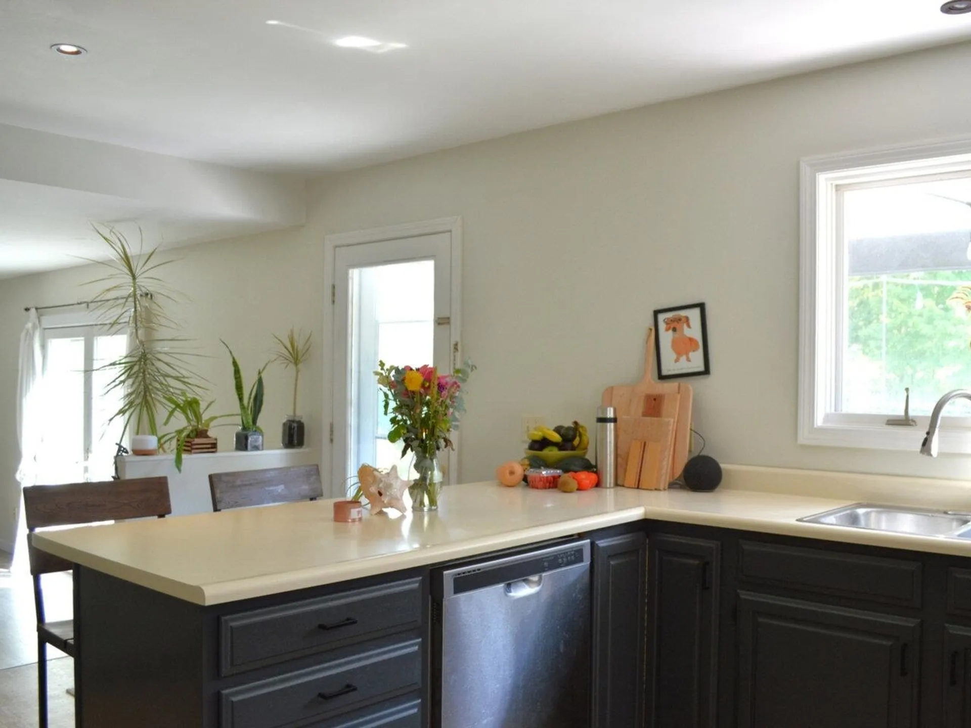10 Pinegrove Terrace Winooski VT 05404