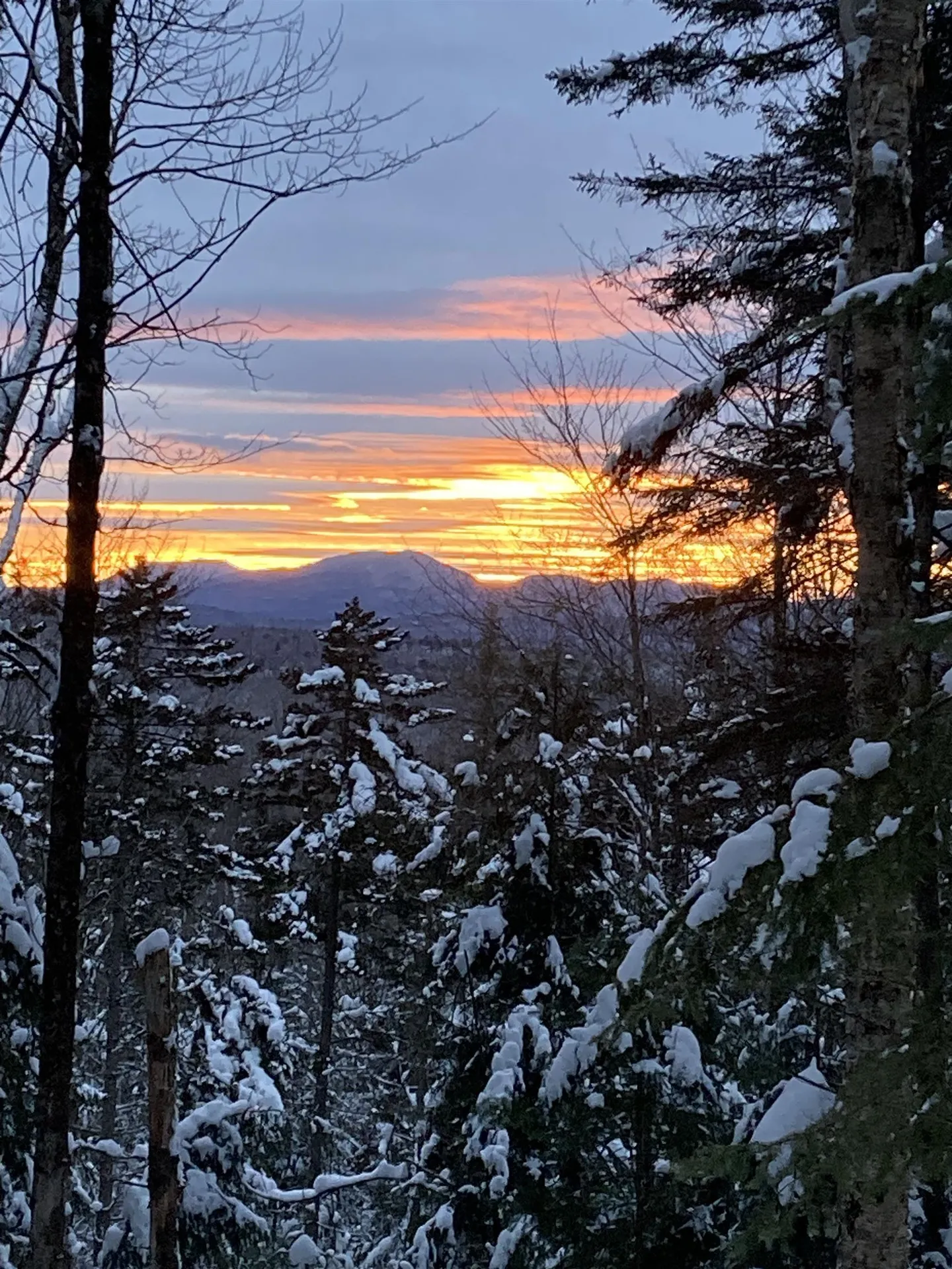 1591 Bunker Hill Road Hardwick VT 05843