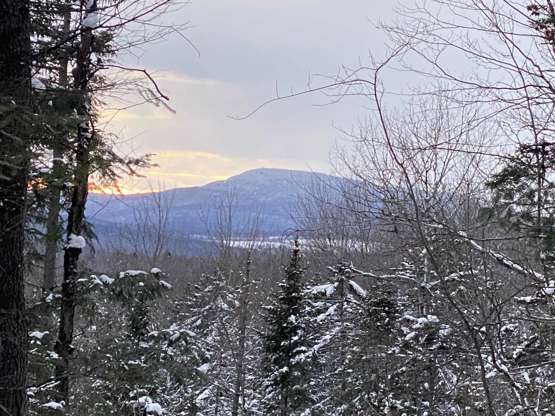 1591 Bunker Hill Road Hardwick VT 05843