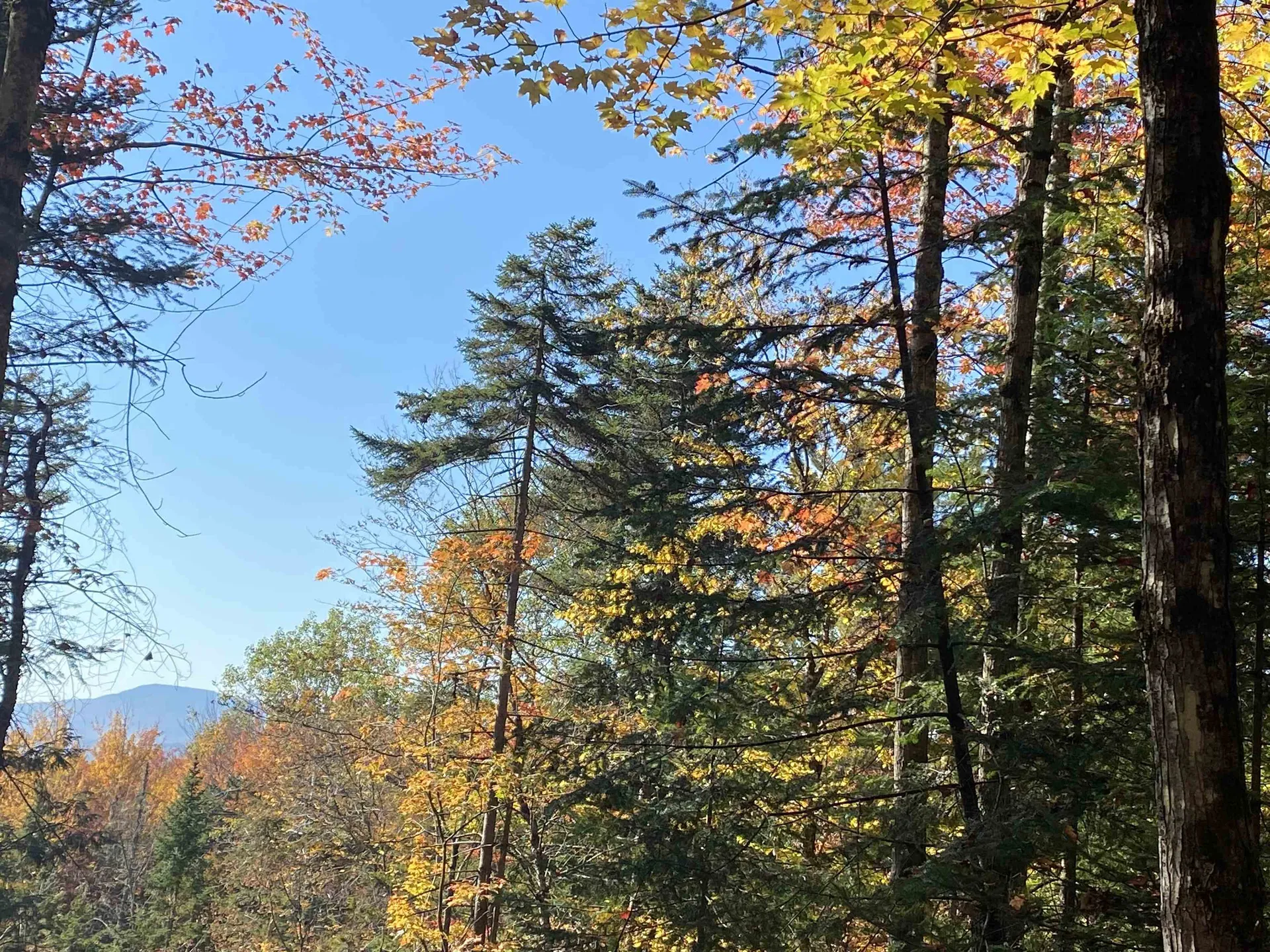 1591 Bunker Hill Road Hardwick VT 05843