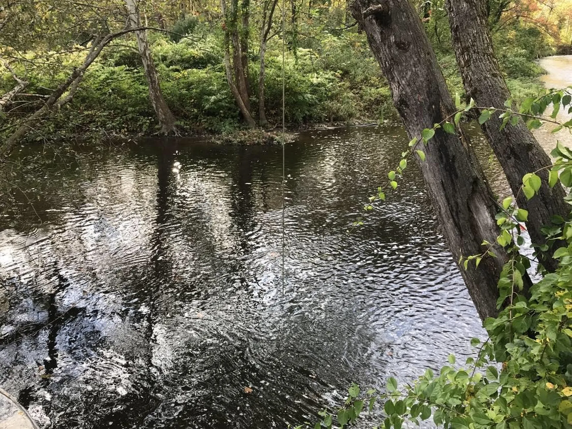 60 Riverdale Road Townshend VT 05353