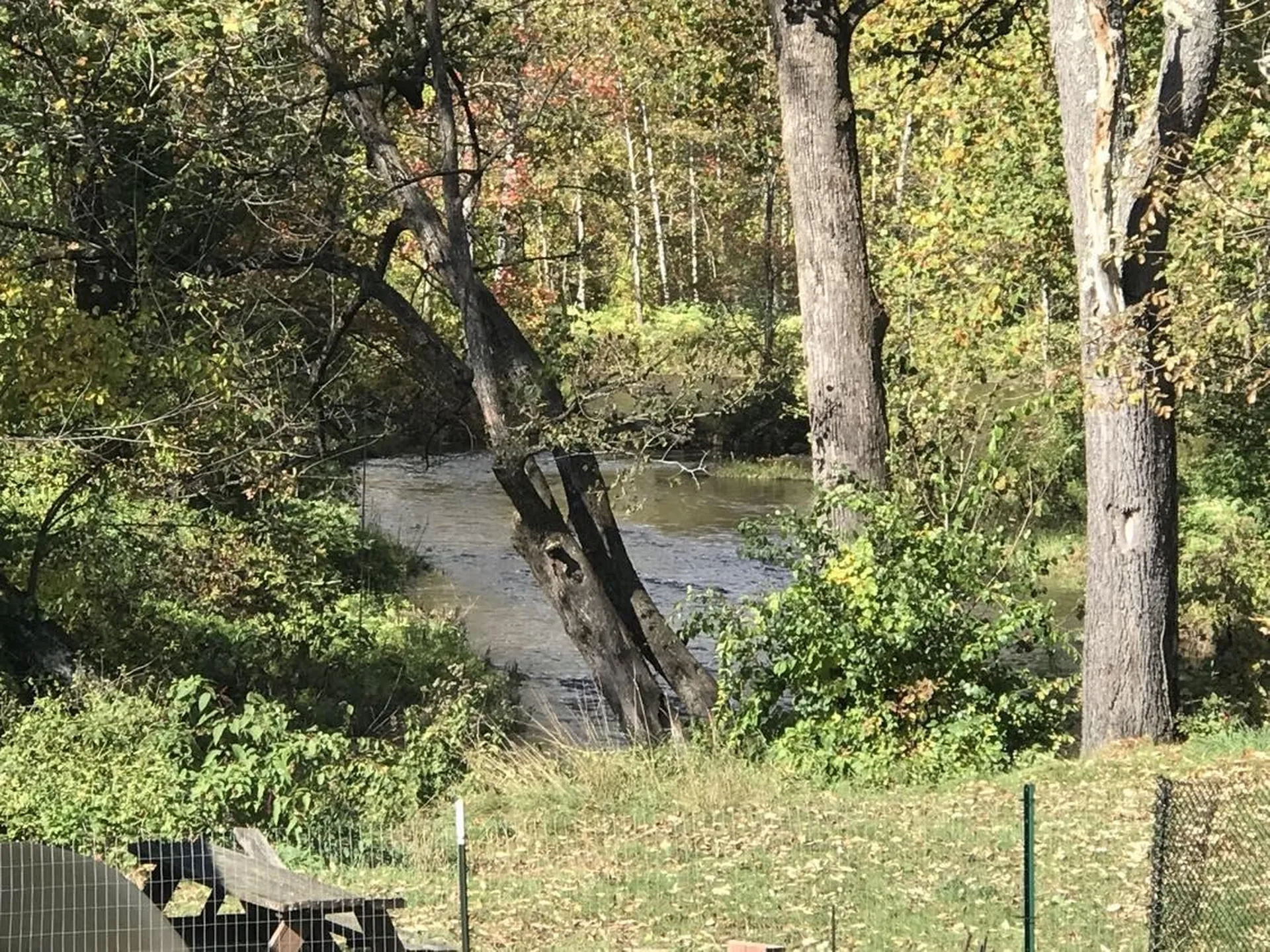 60 Riverdale Road Townshend VT 05353