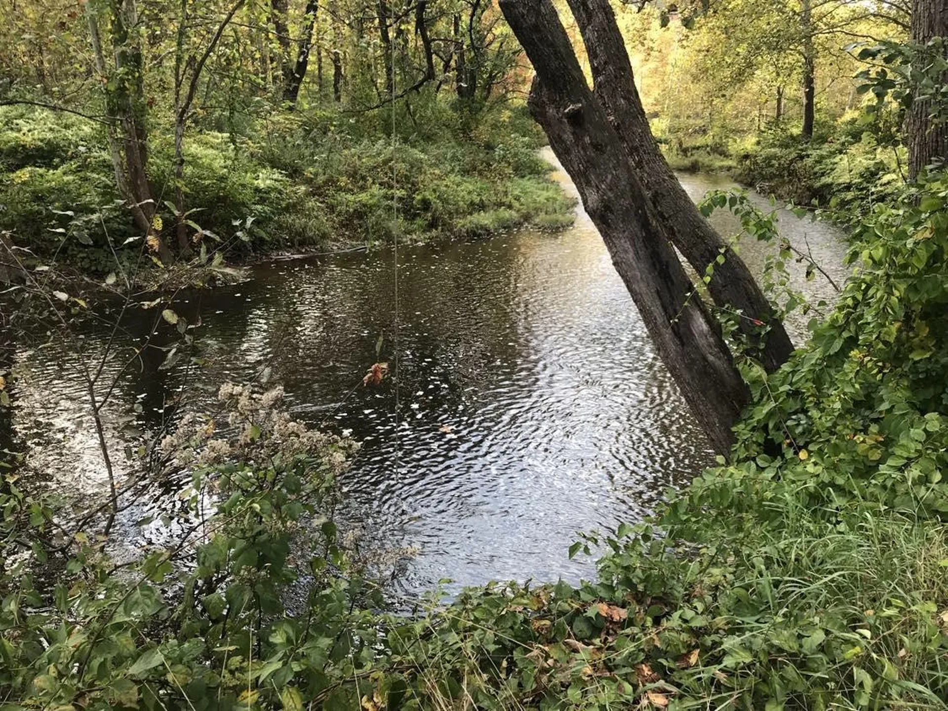 60 Riverdale Road Townshend VT 05353