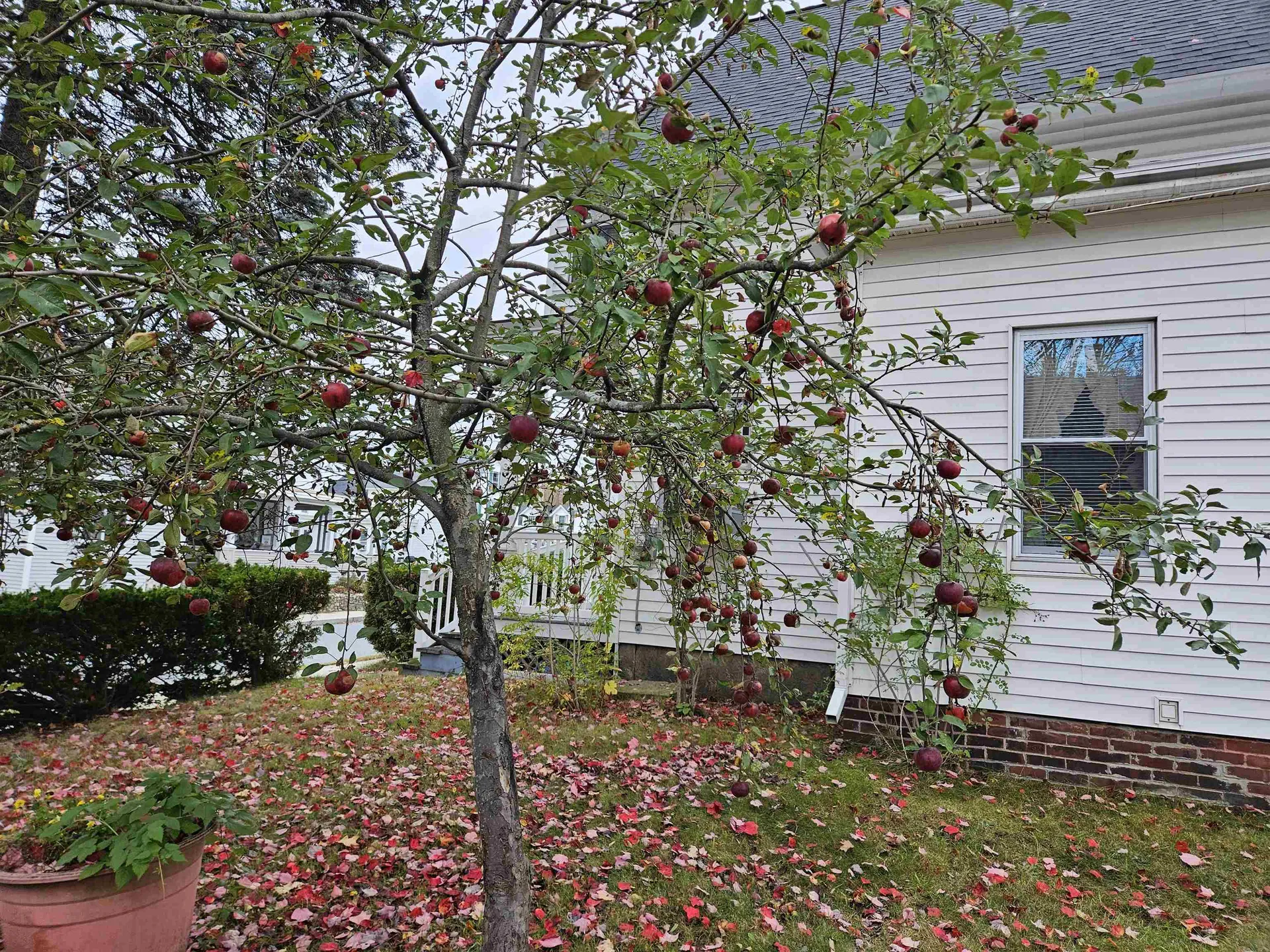22 Parkhurst Street Lebanon NH 03766
