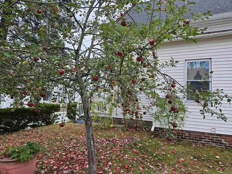 22 Parkhurst Street Lebanon NH 03766