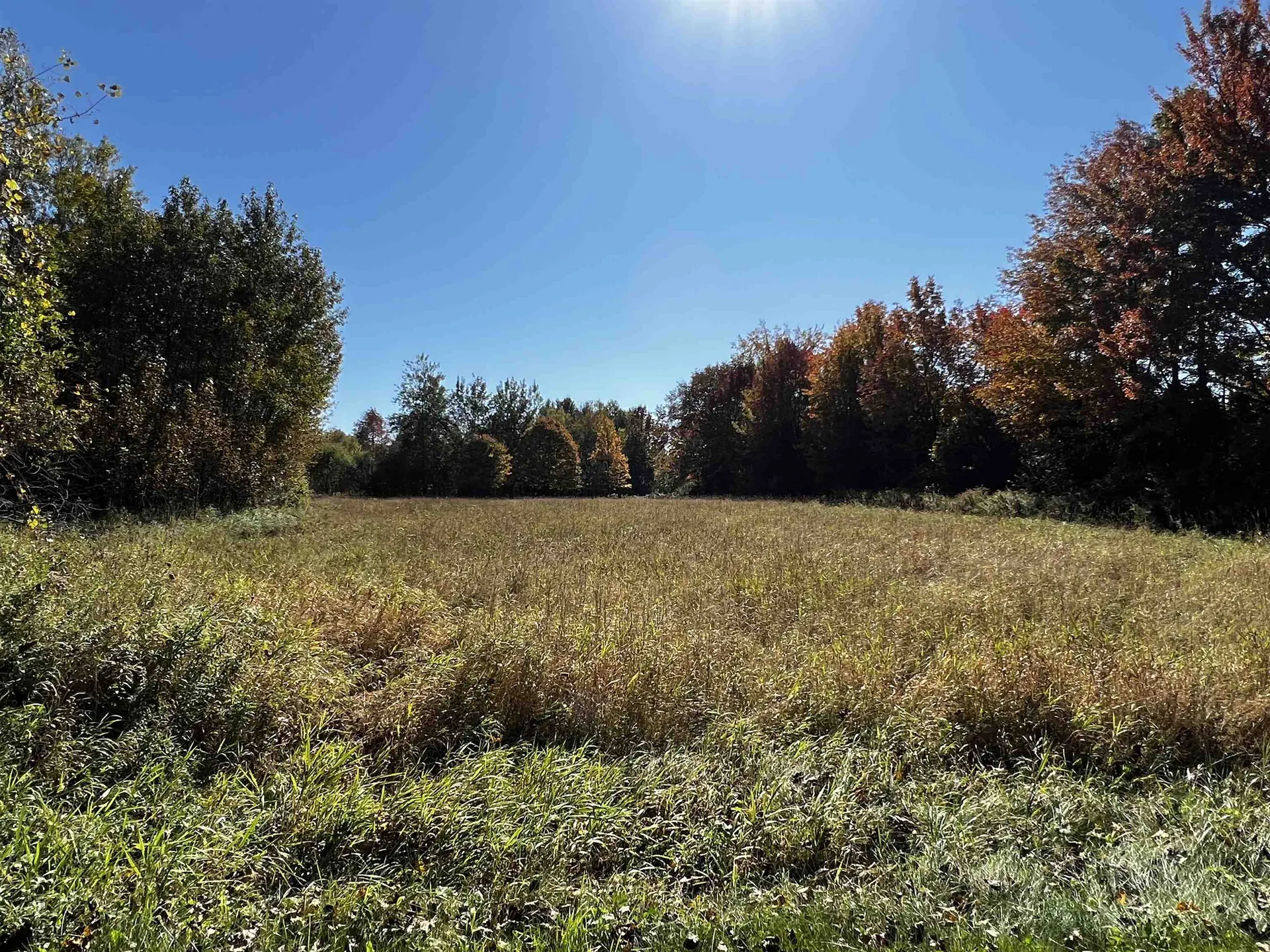 36 Abbey Road Westford VT 05494