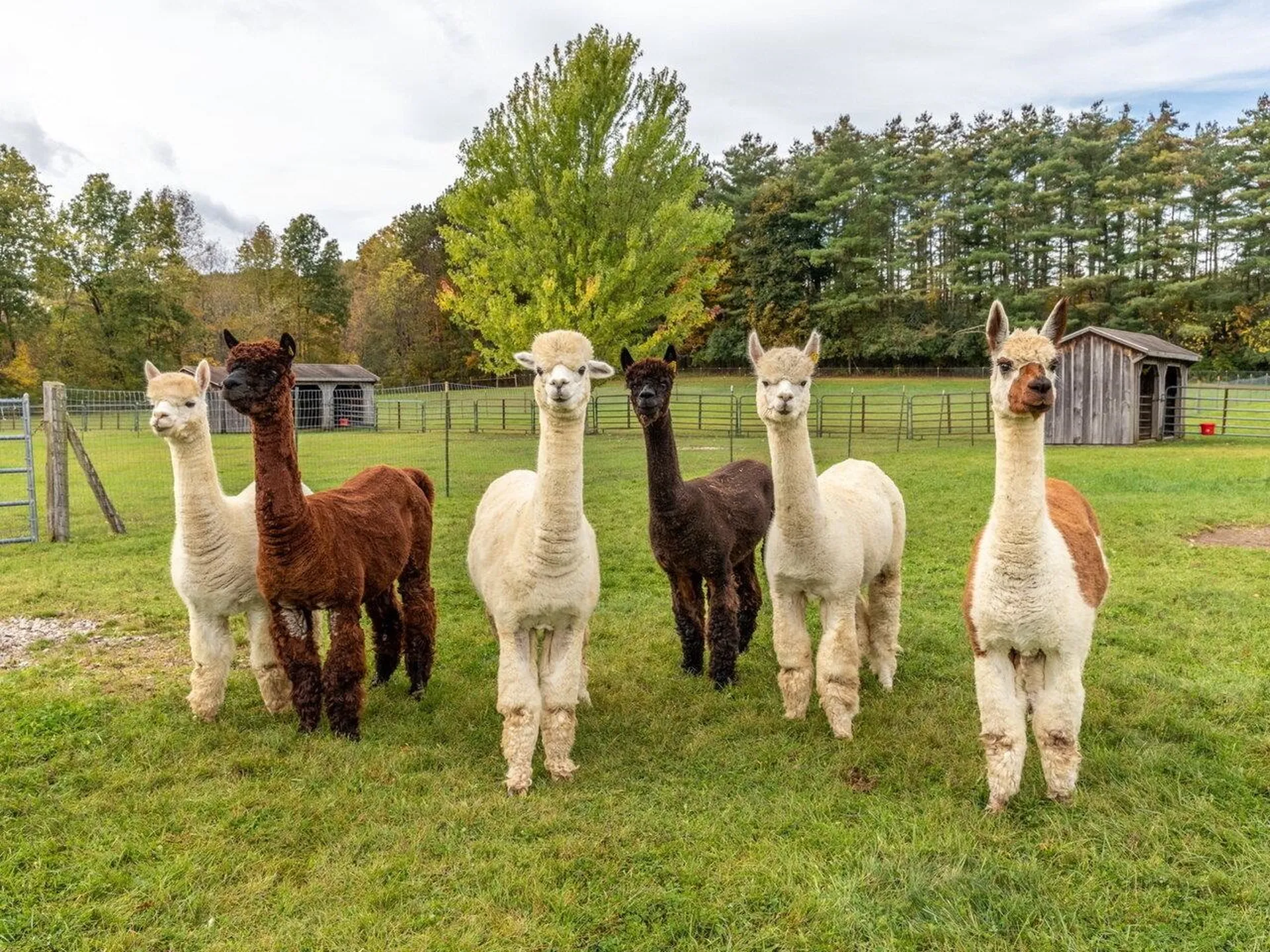 185 Adams Road Brandon VT 05733