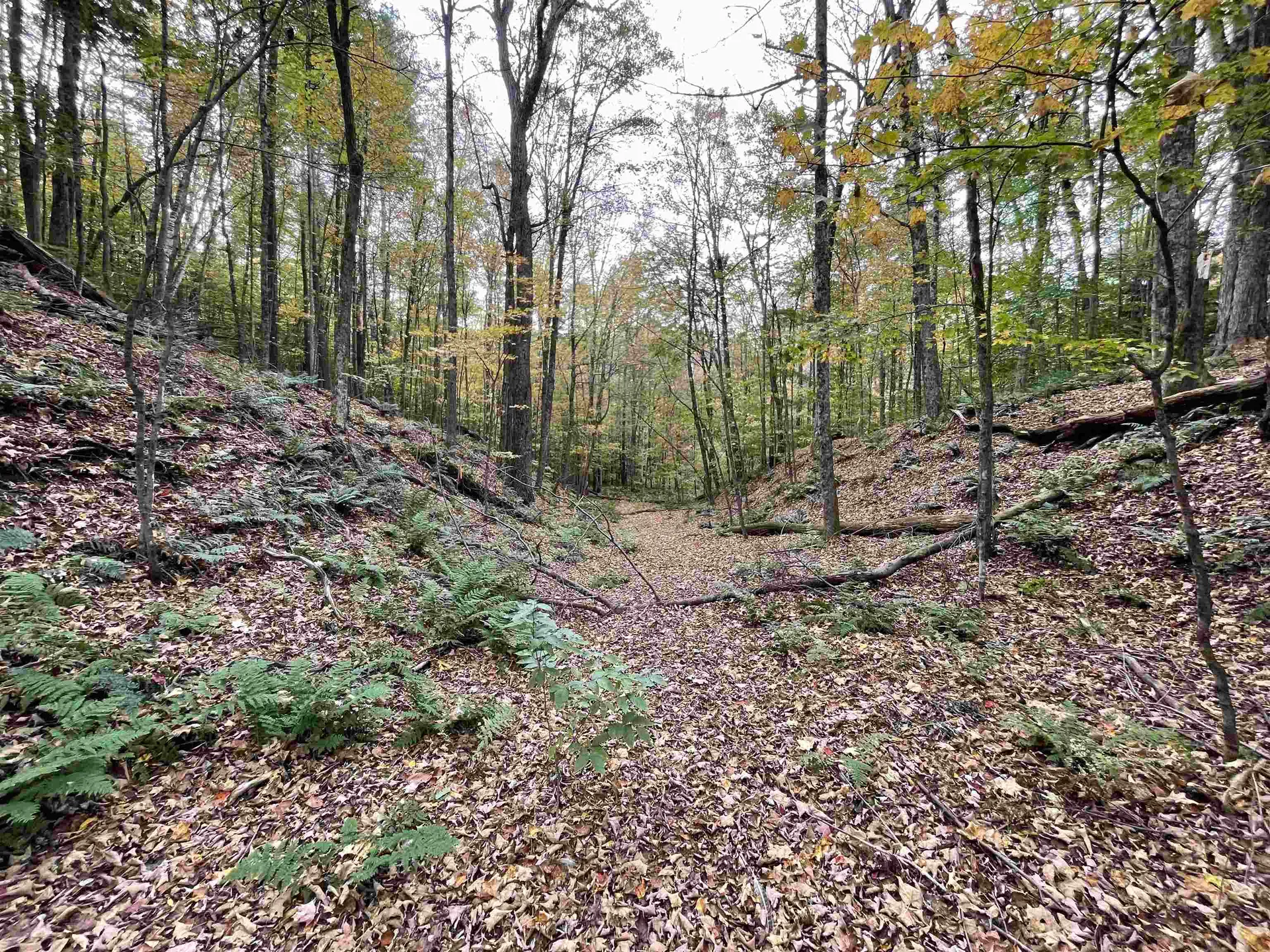 Off Meadow Lake Drive Mendon VT 05701